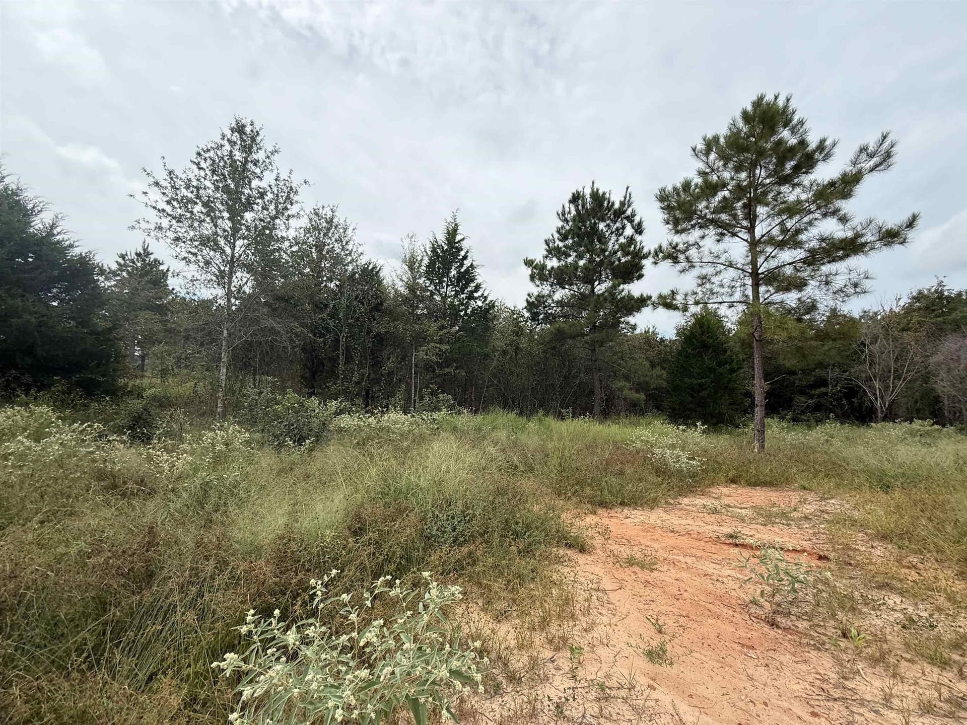 5.02 acres in Rusk County - photo 6