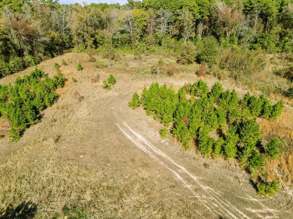 11.6 acres in Upshur County - photo 4