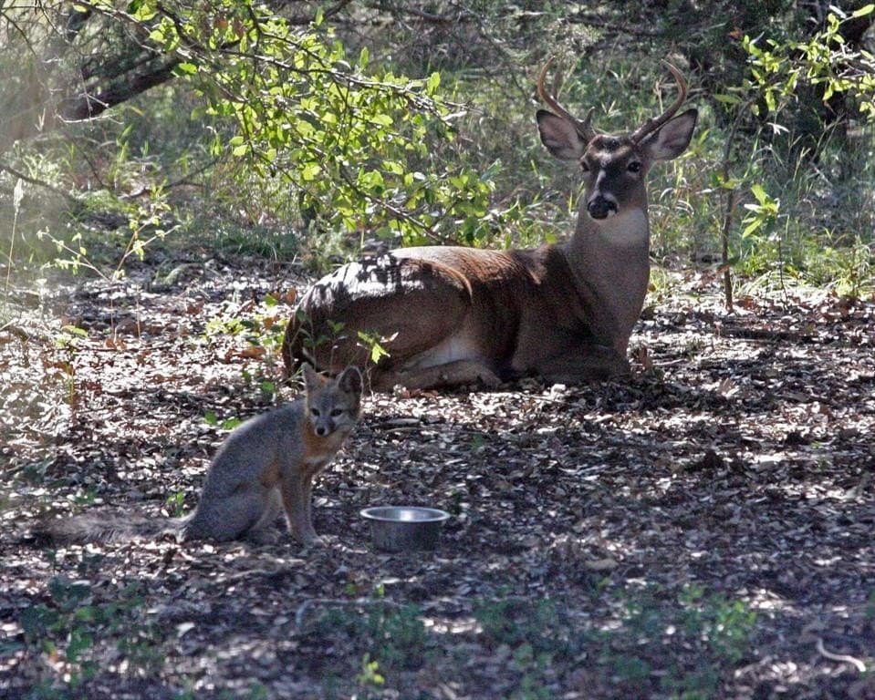 92.75 acres in Hamilton County - photo 40