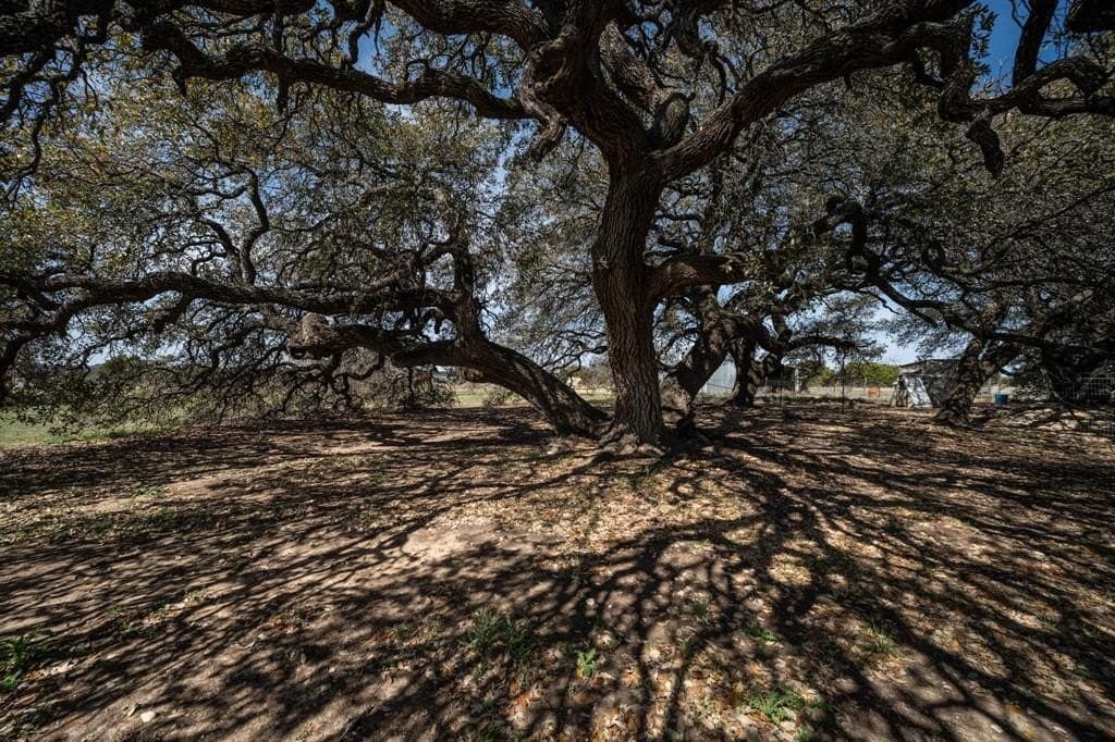 92.75 acres in Hamilton County - photo 31