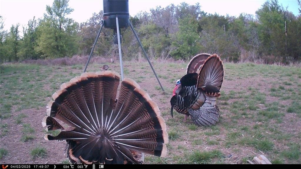 92.75 acres in Hamilton County - photo 37
