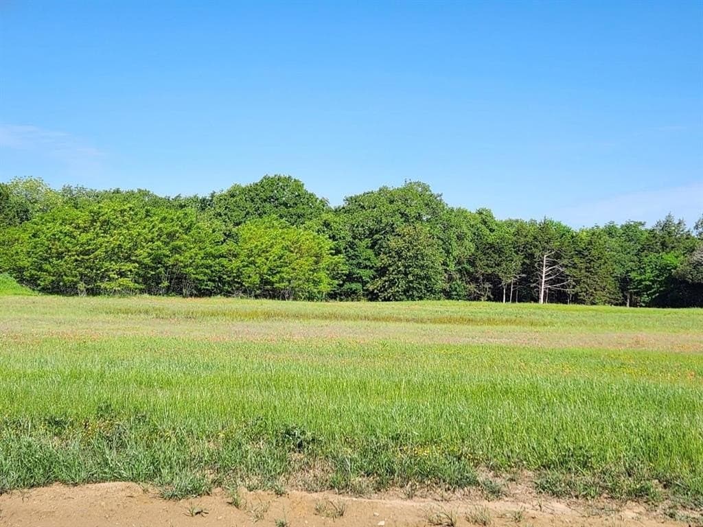 0.19 acres in Grayson County - photo 7