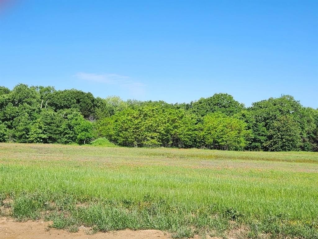 0.19 acres in Grayson County - photo 6