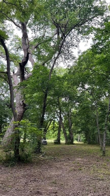 4.48 acres in Ellis County - photo 13