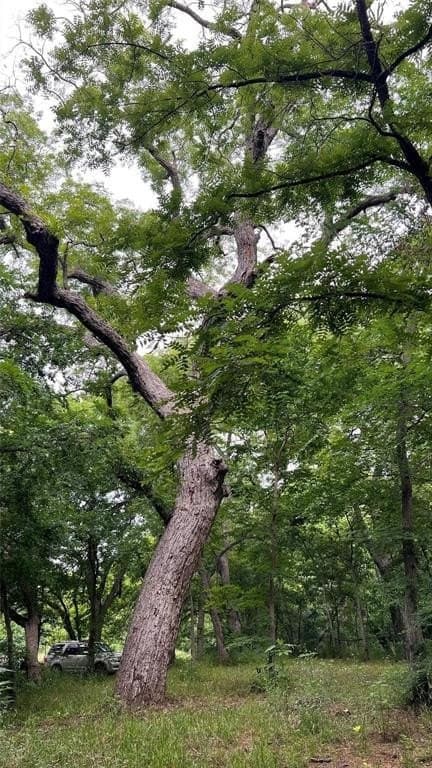 4.48 acres in Ellis County - photo 10