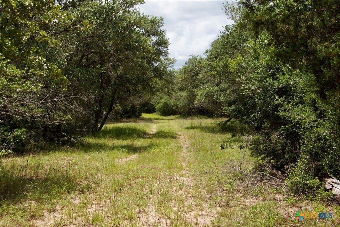 96.1 acres in DeWitt County - photo 20