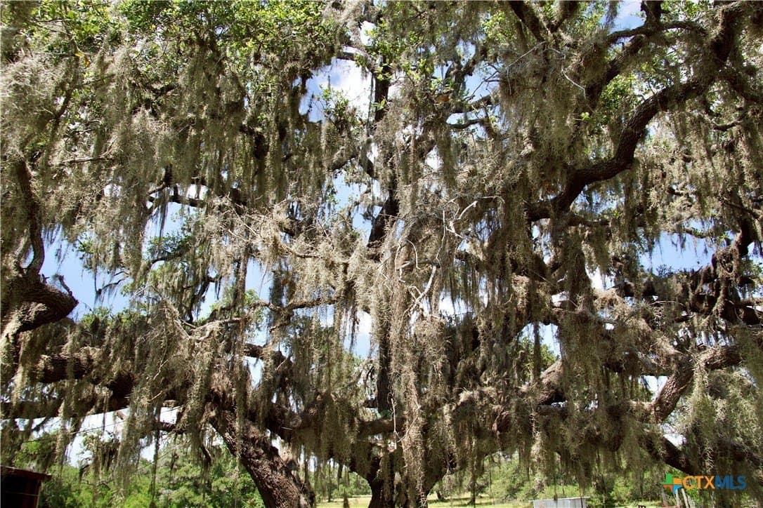 96.1 acres in DeWitt County - photo 5