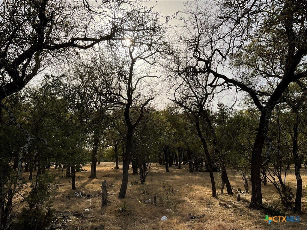 88 acres in Burnet County - photo 7