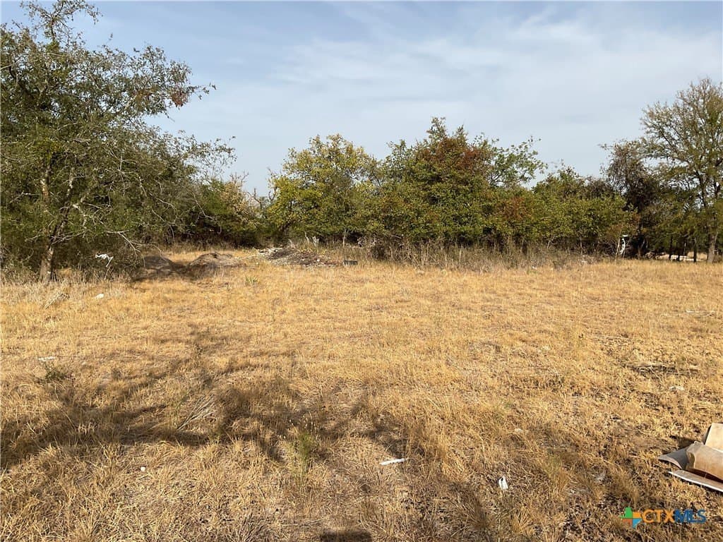 88 acres in Burnet County - photo 3