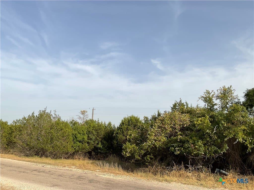 88 acres in Burnet County - photo 5