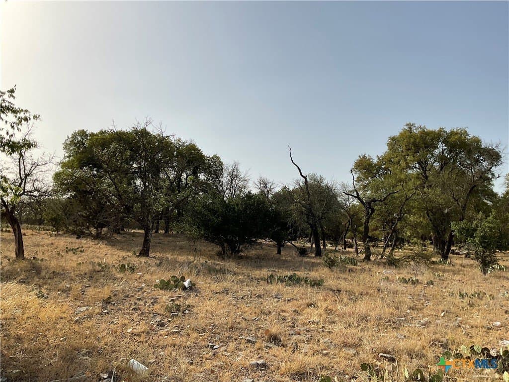 88 acres in Burnet County - photo 4