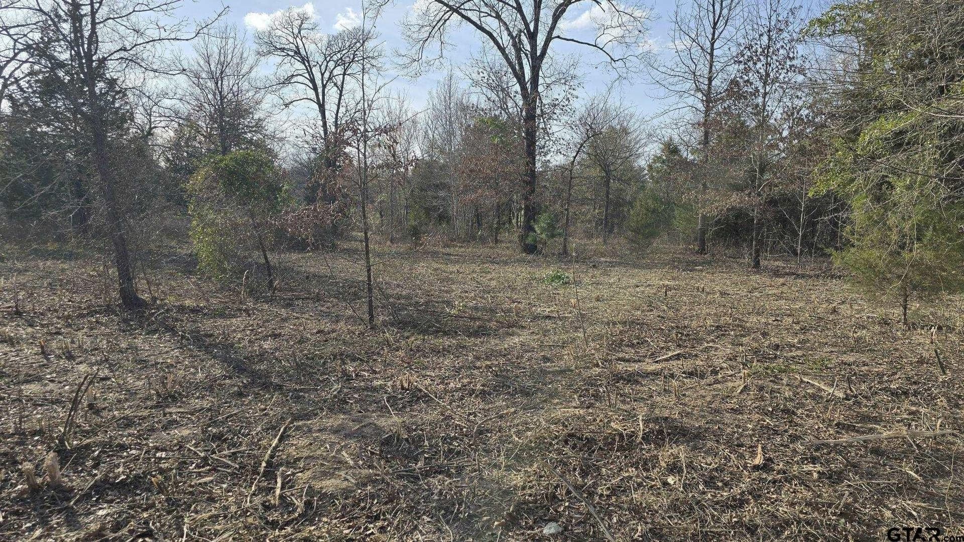 4.98 acres in Smith County - photo 16