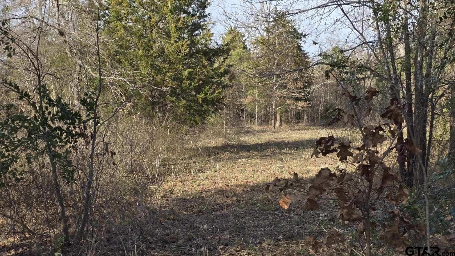 4.98 acres in Smith County - photo 18