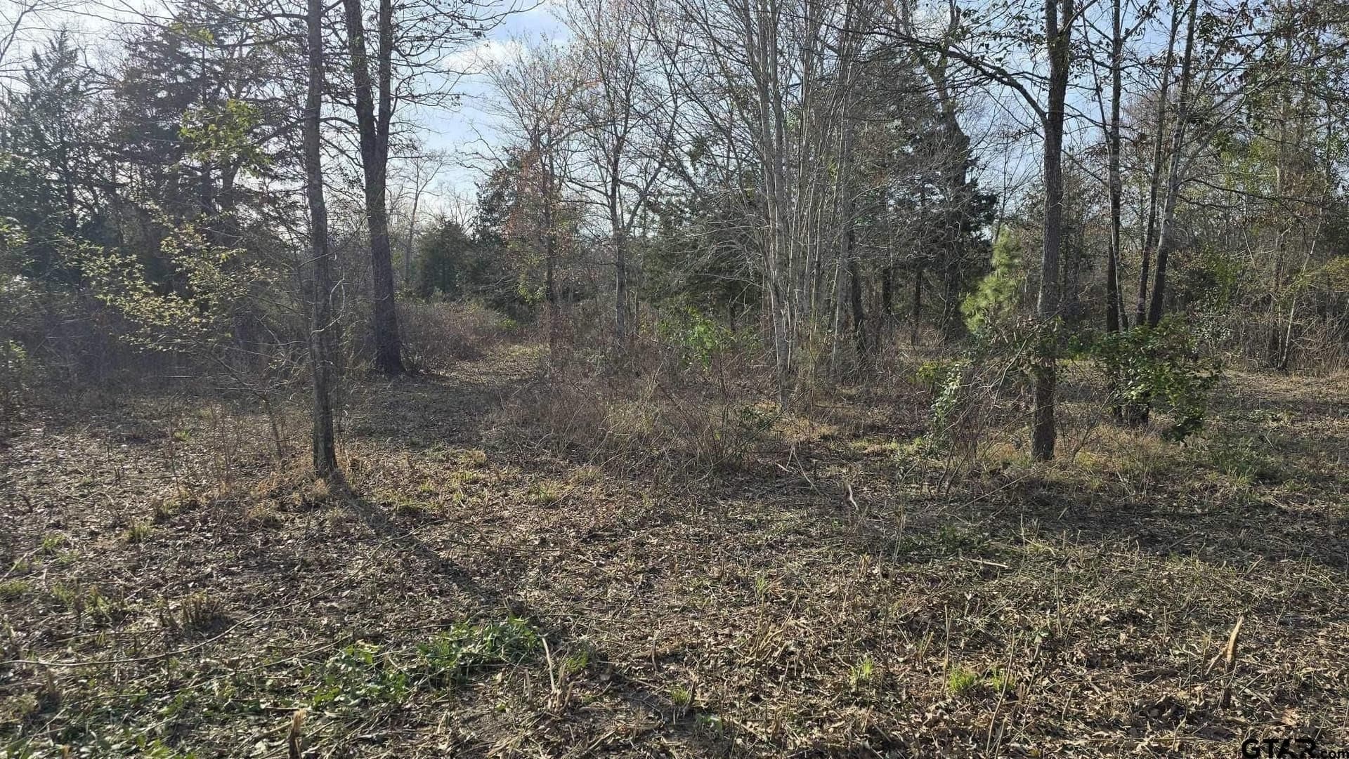 4.98 acres in Smith County - photo 14