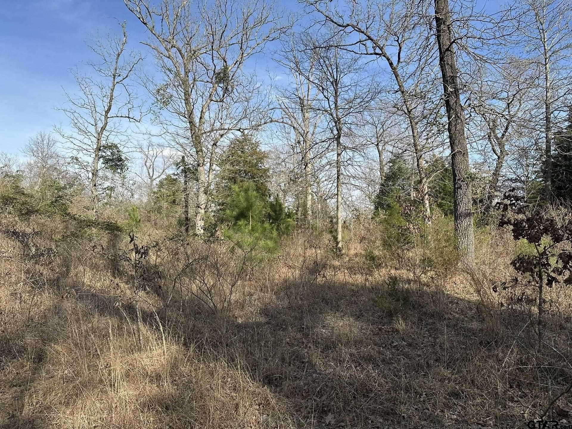 4.98 acres in Smith County - photo 20