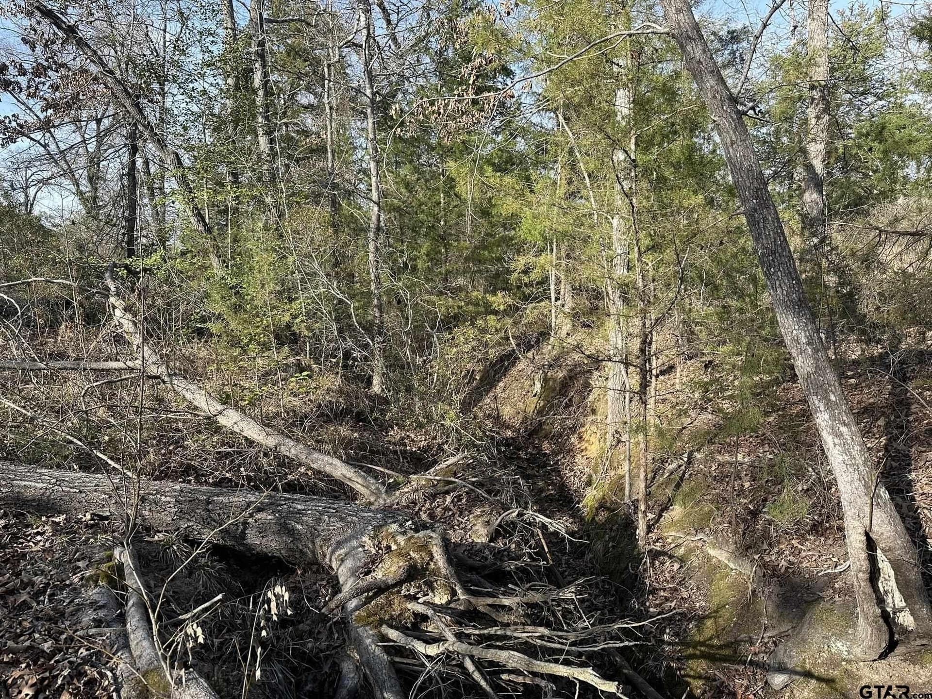 4.98 acres in Smith County - photo 29