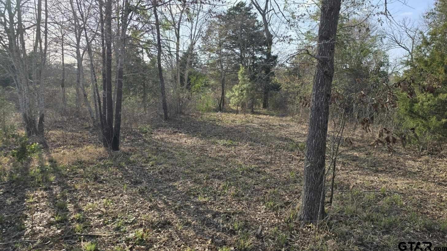 4.98 acres in Smith County - photo 15
