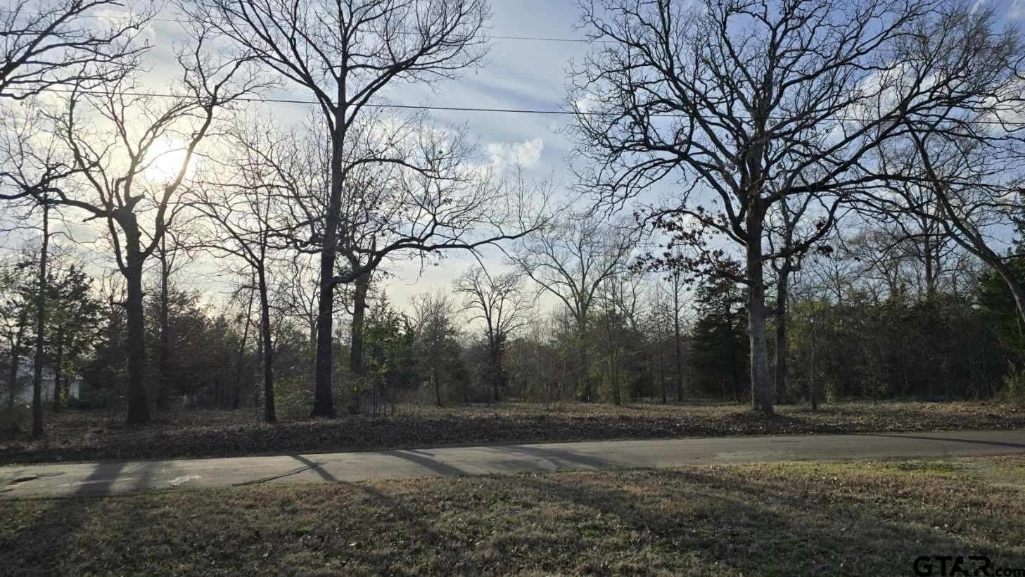 4.98 acres in Smith County - photo 13