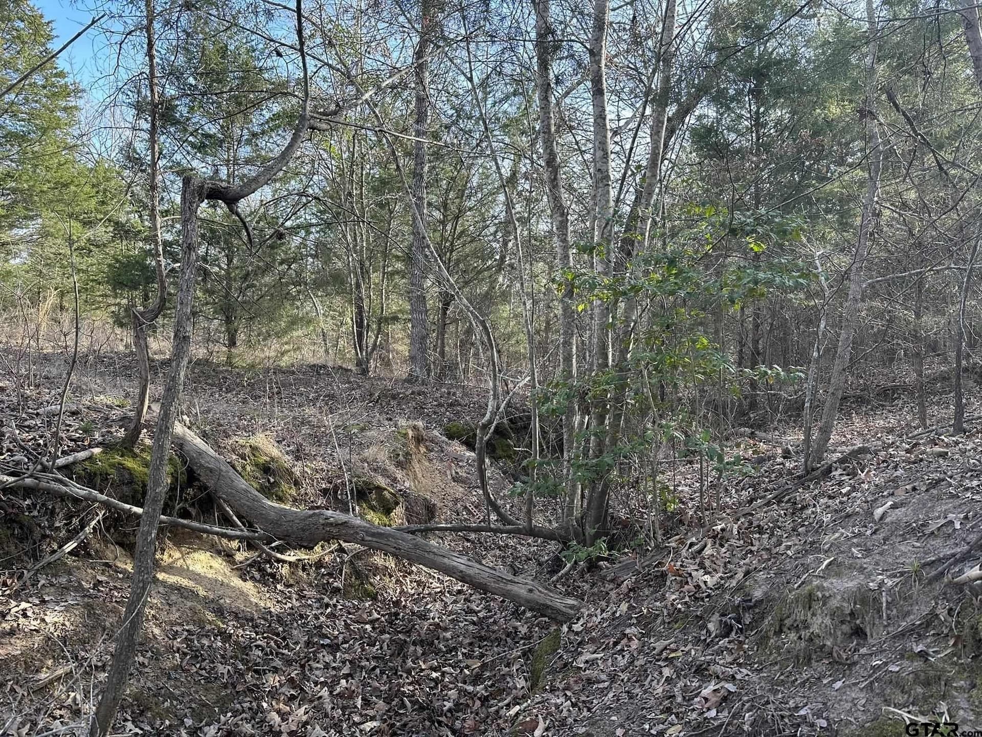 4.98 acres in Smith County - photo 28