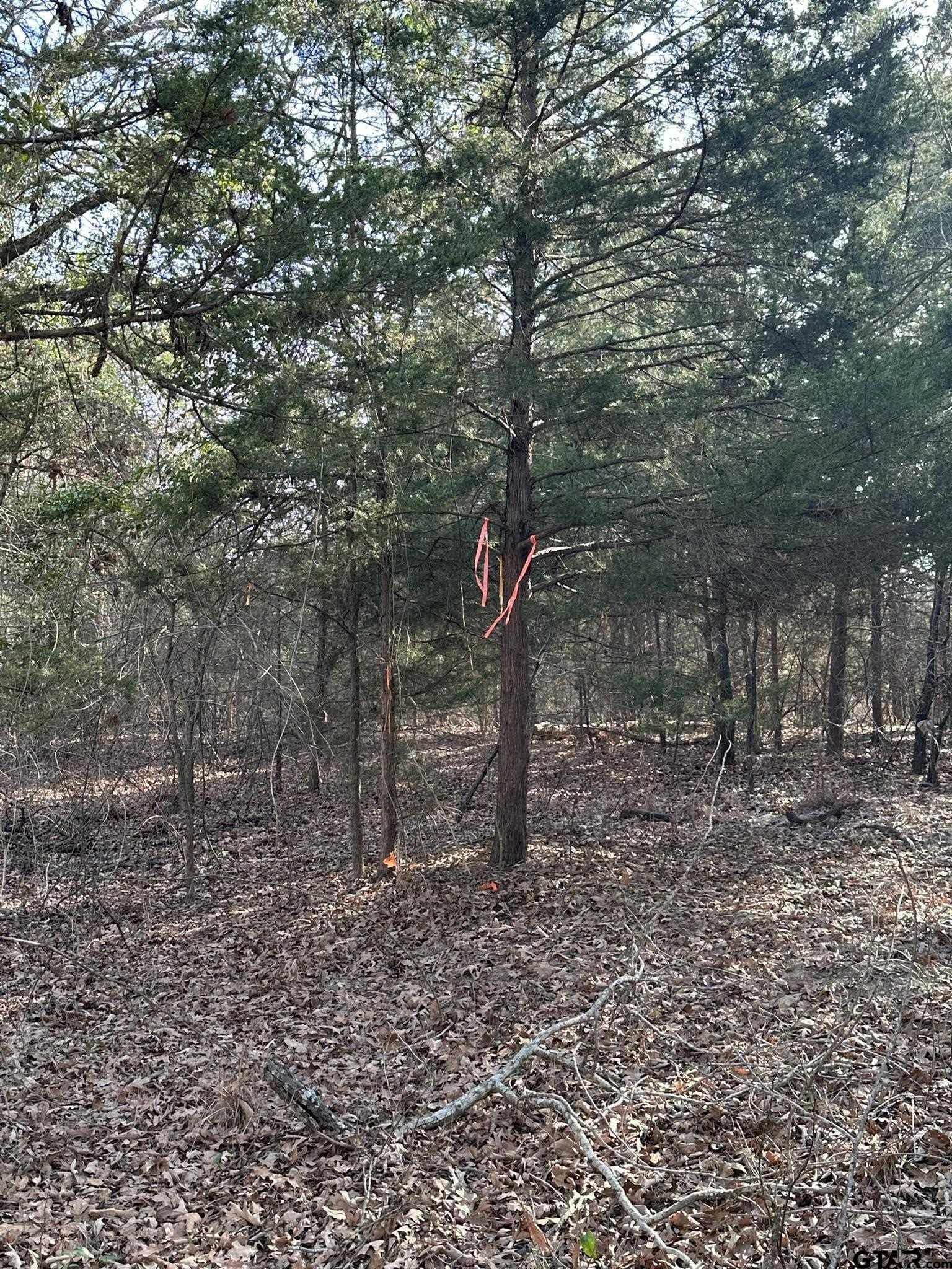 4.98 acres in Smith County - photo 30