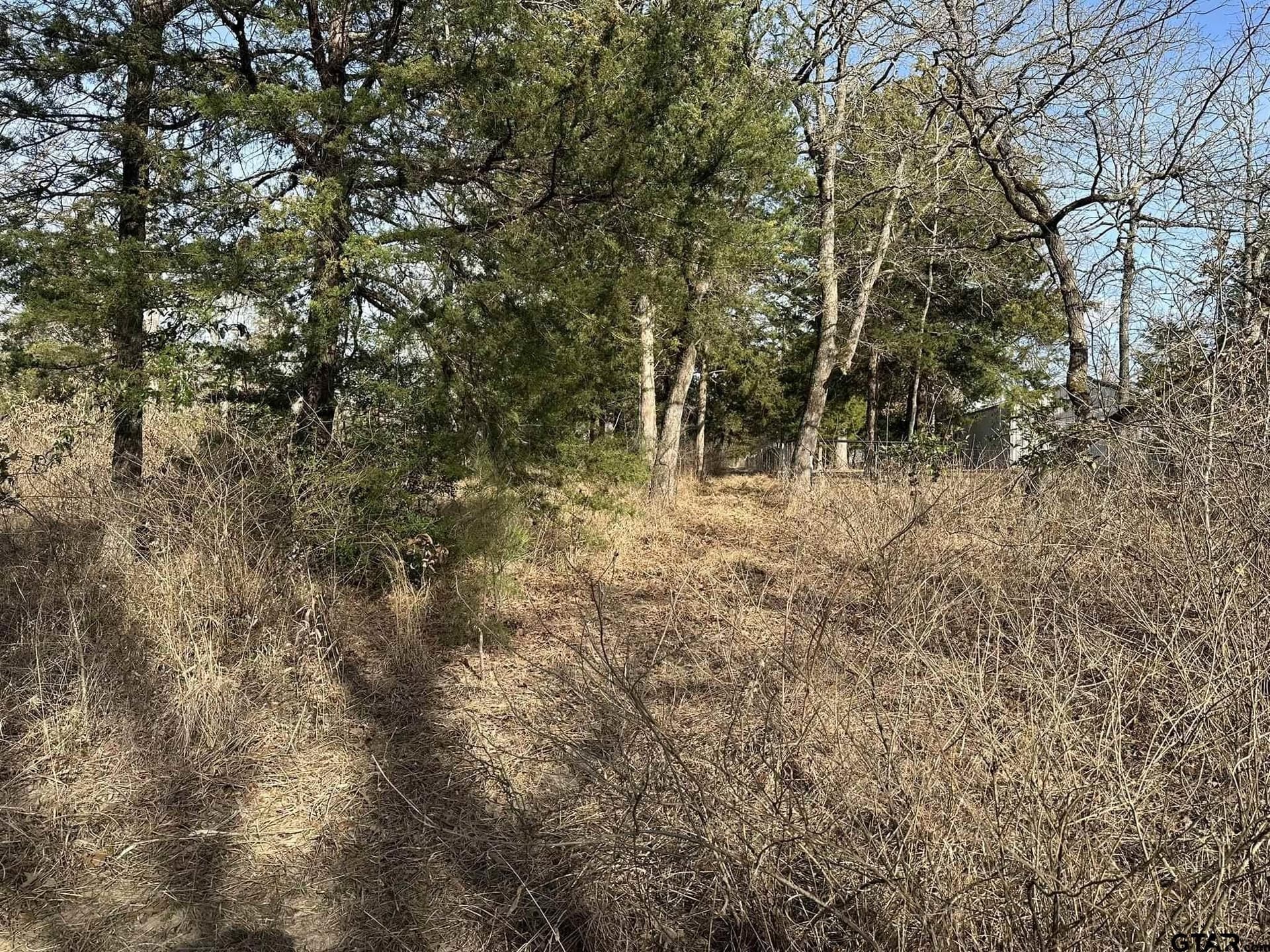 4.98 acres in Smith County - photo 27