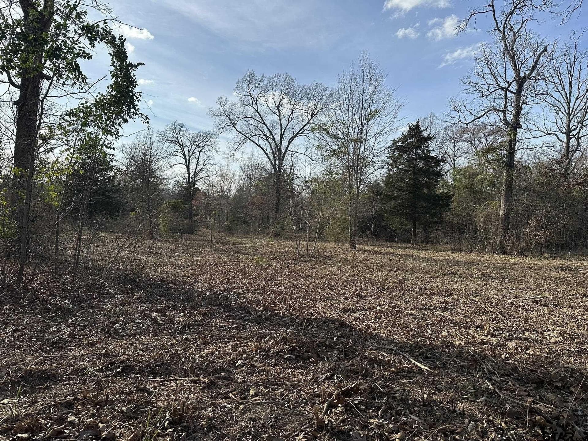 4.98 acres in Smith County - photo 24