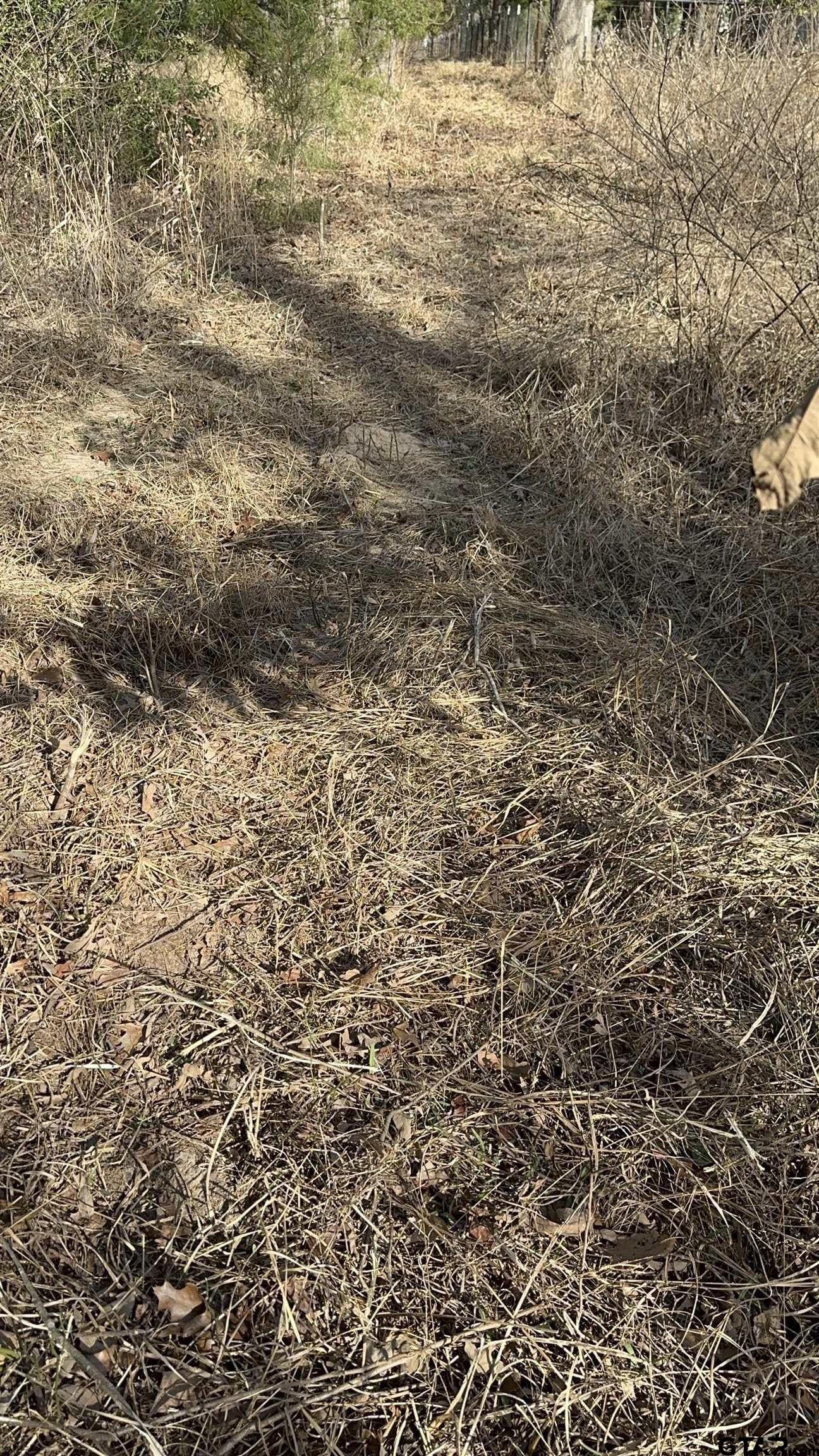 4.98 acres in Smith County - photo 31