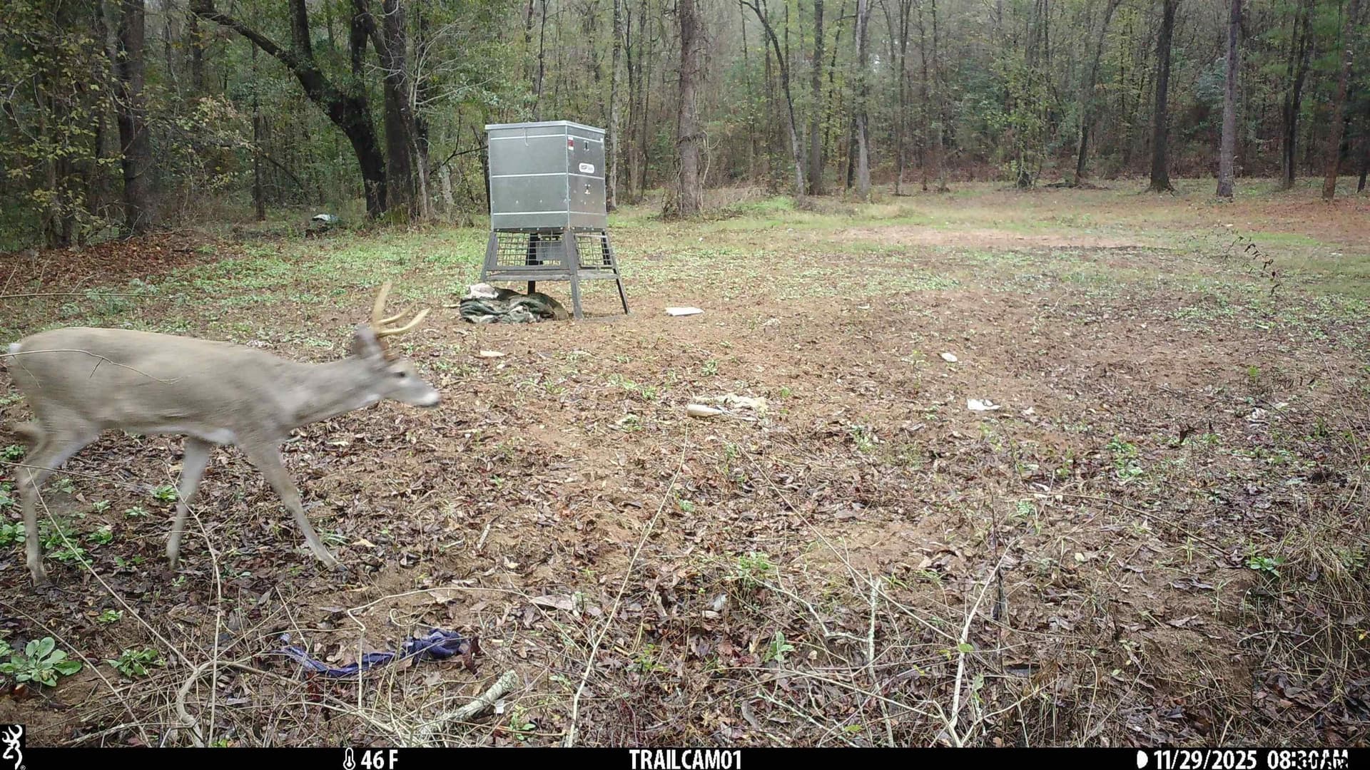265 acres in Smith County - photo 13
