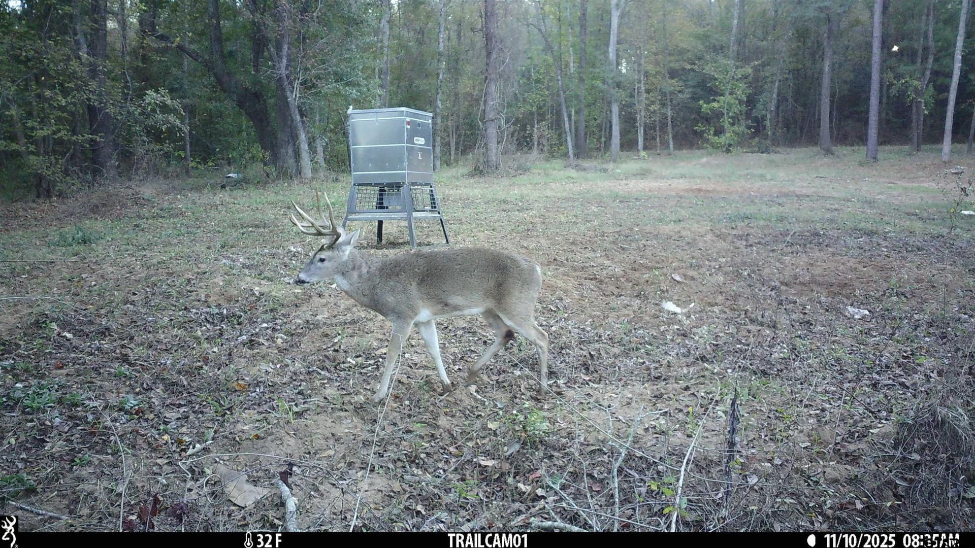 265 acres in Smith County - photo 12