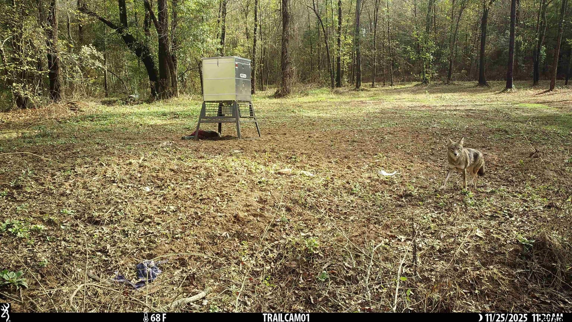 265 acres in Smith County - photo 18