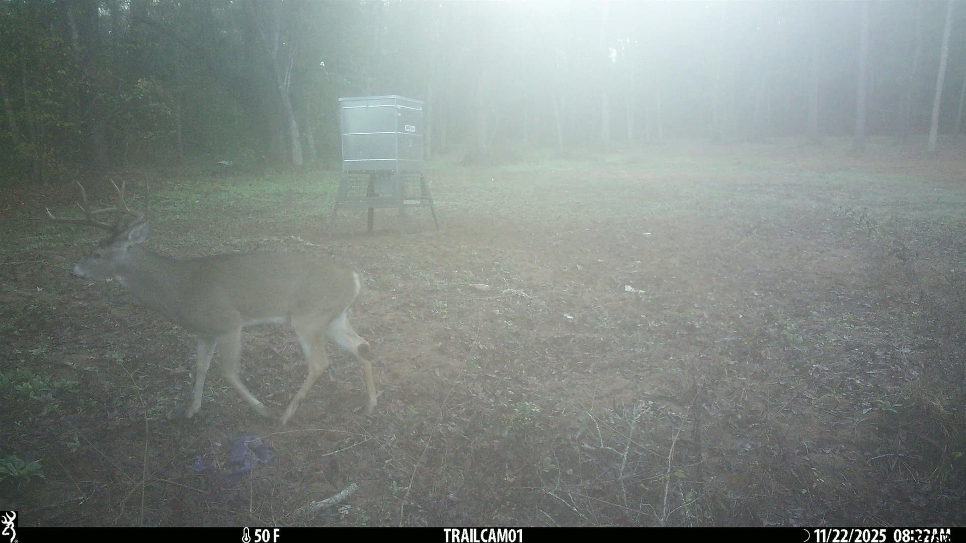 265 acres in Smith County - photo 15