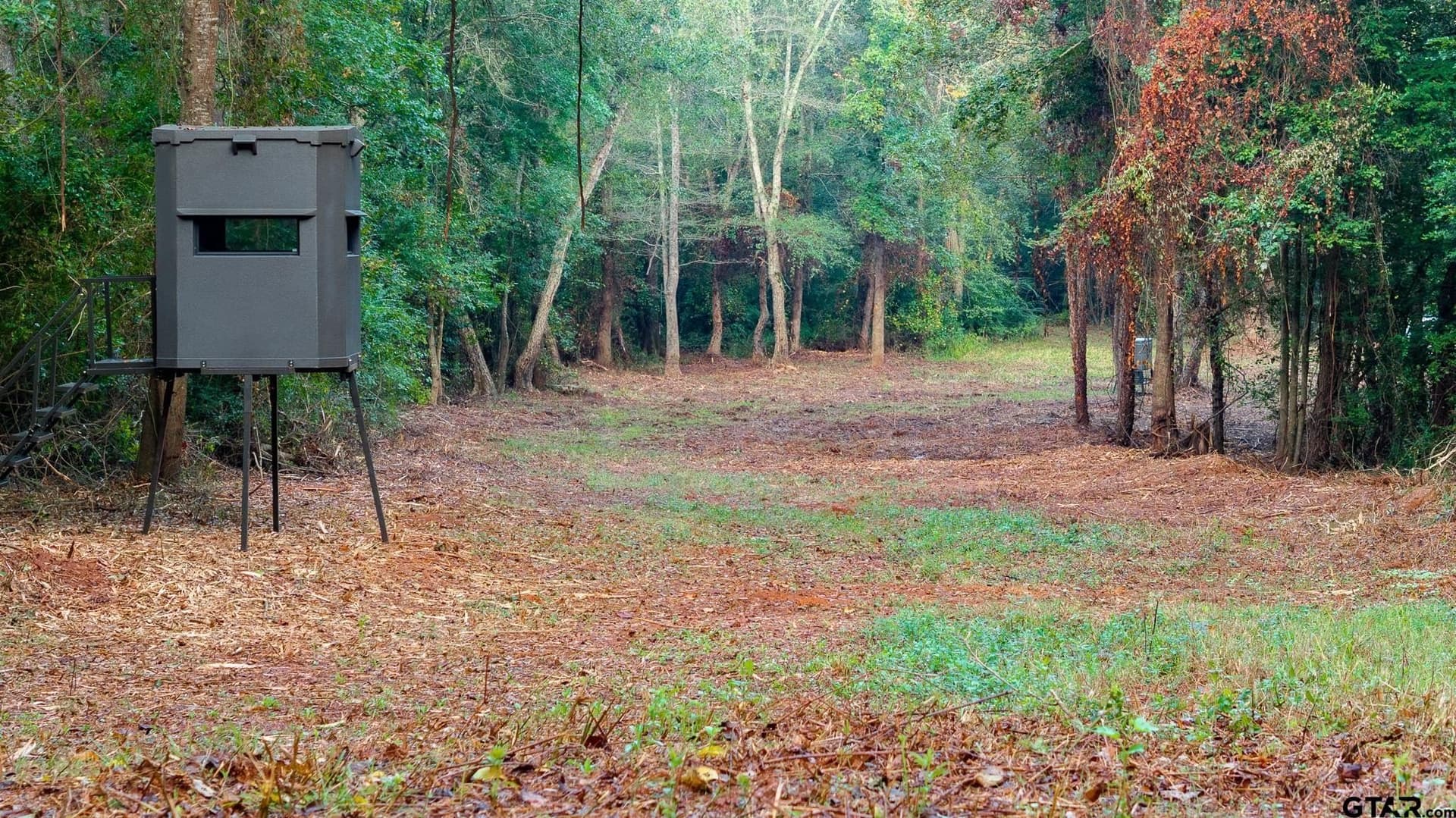 265 acres in Smith County - photo 6