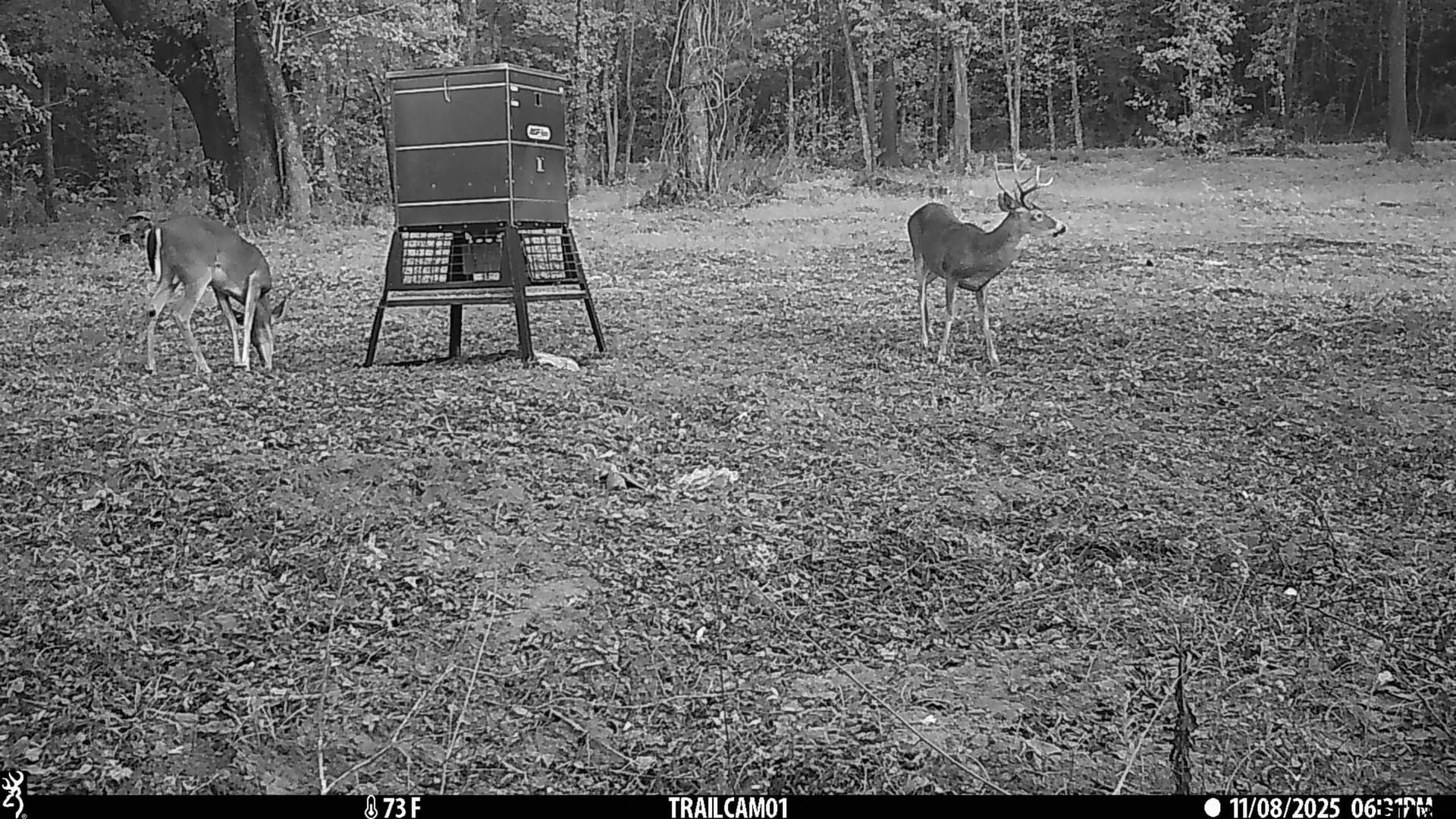 265 acres in Smith County - photo 9