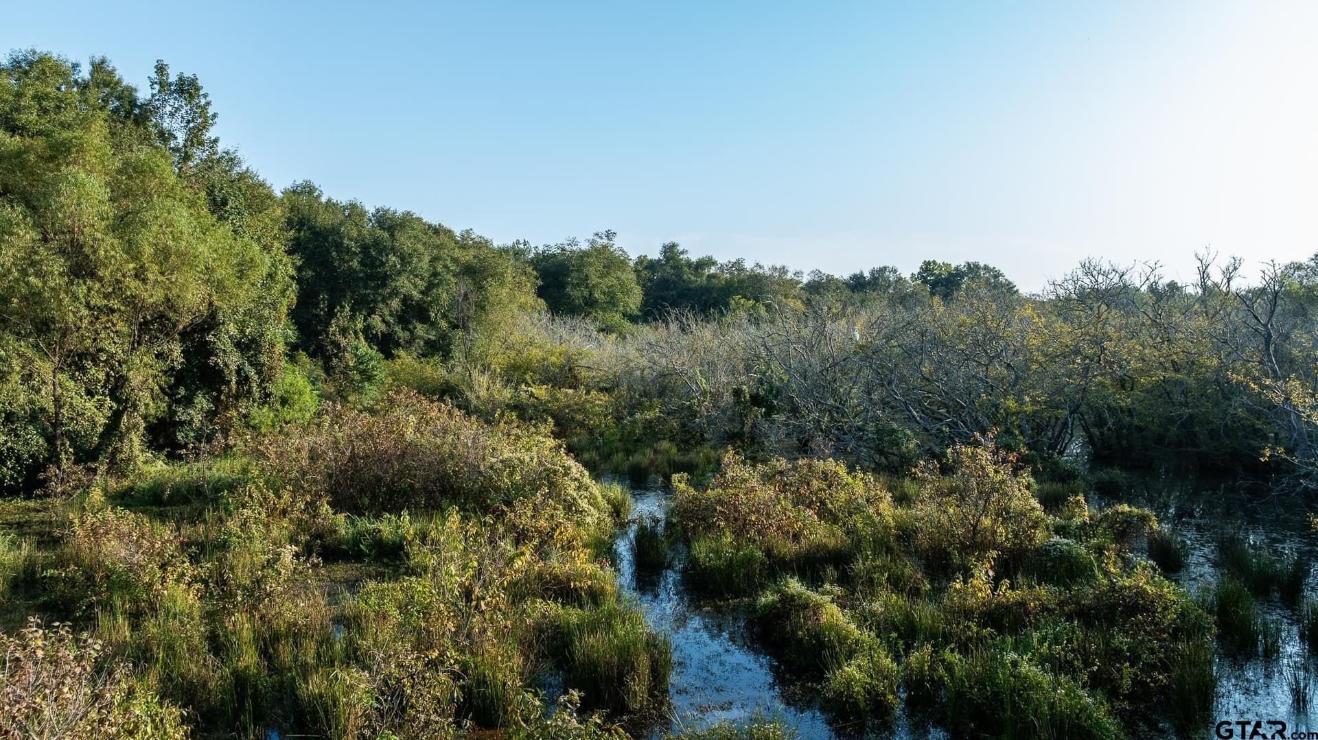 265 acres in Smith County - photo 30