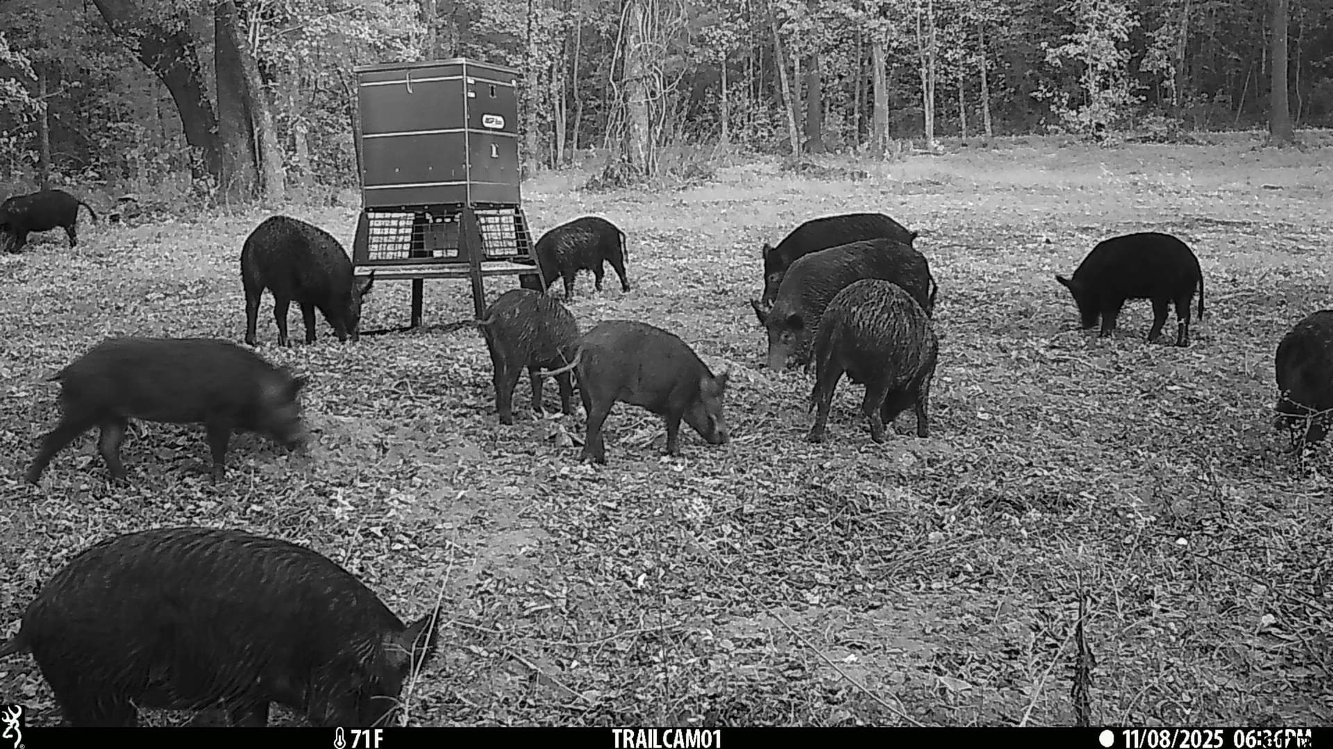 265 acres in Smith County - photo 19