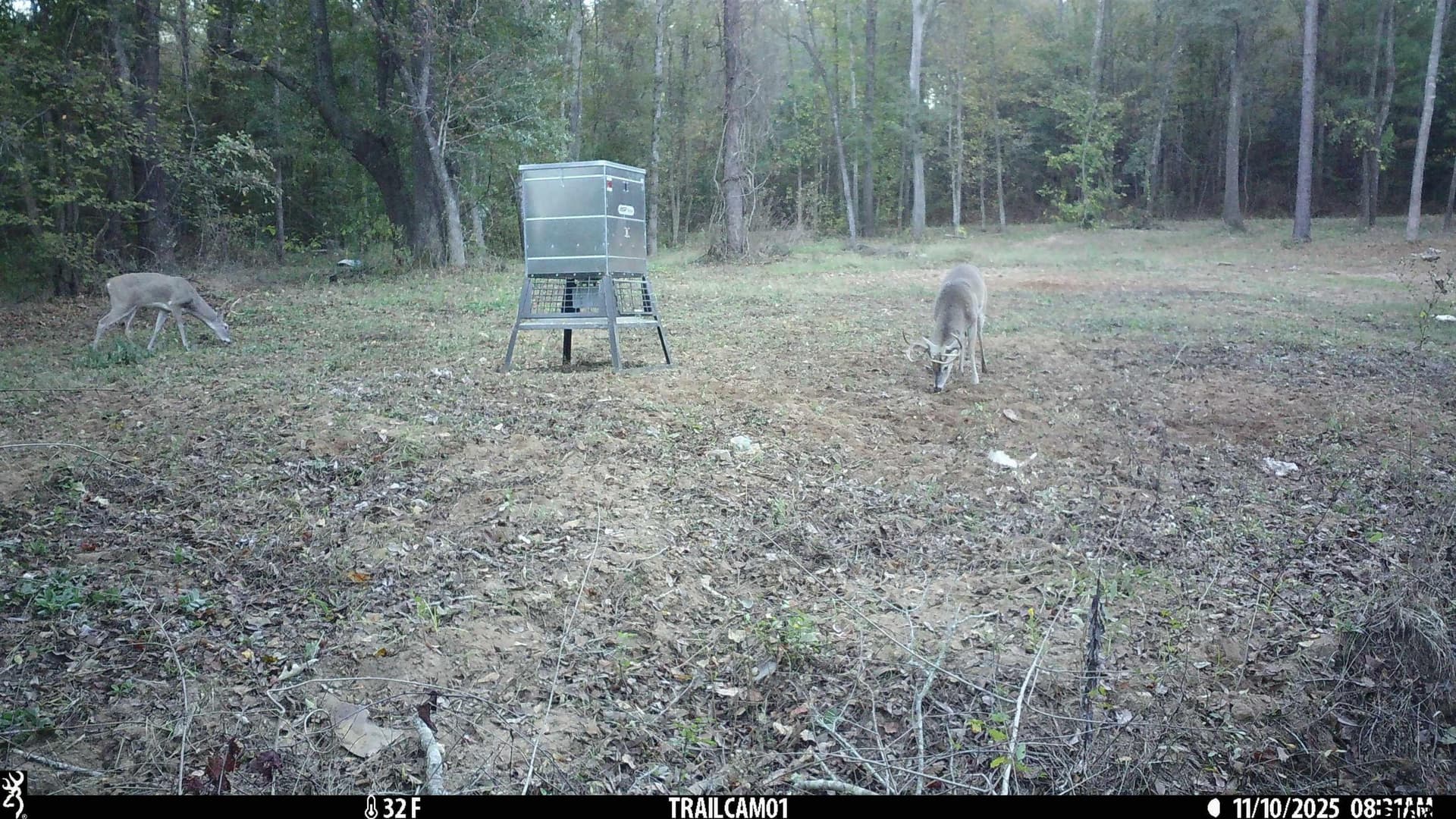 265 acres in Smith County - photo 11