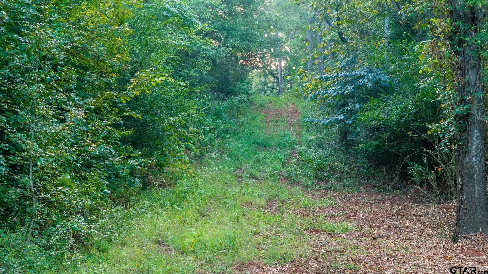265 acres in Smith County - photo 5