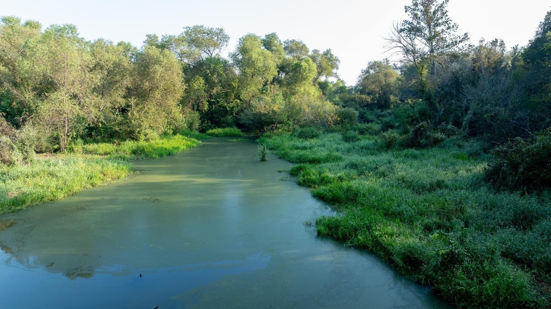 265 acres in Smith County - photo 26