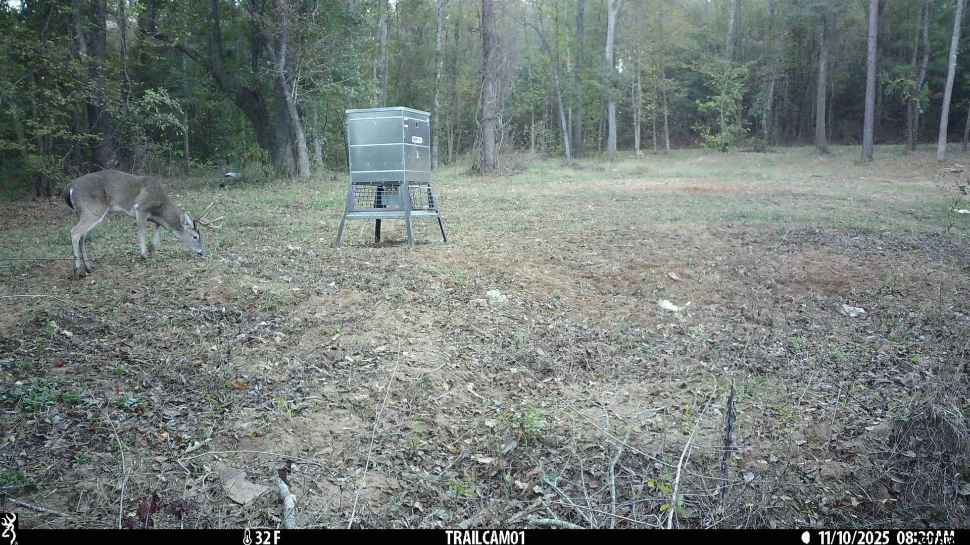 265 acres in Smith County - photo 10