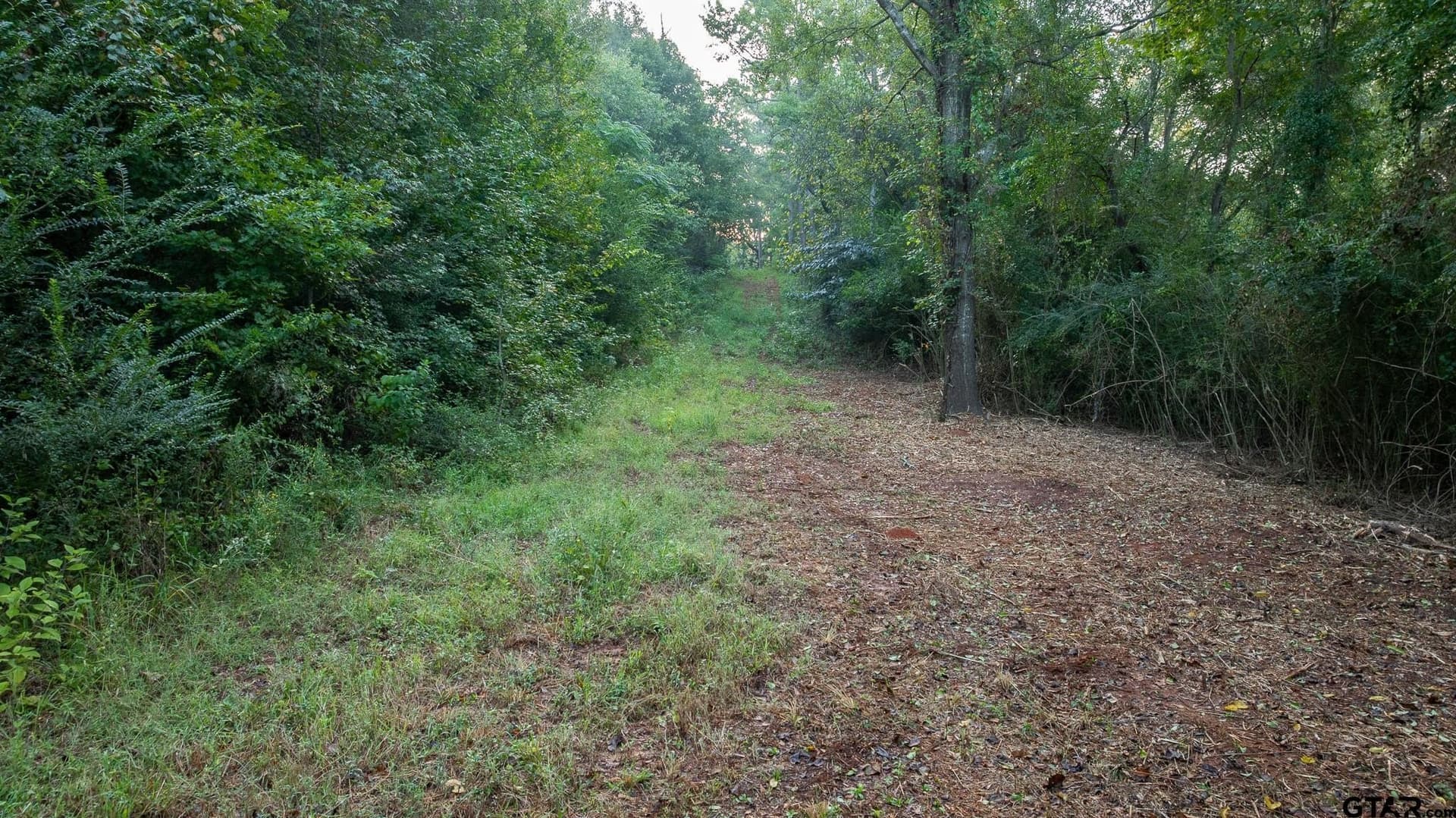 265 acres in Smith County - photo 4