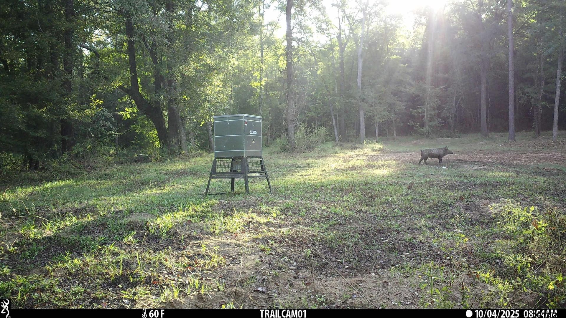 265 acres in Smith County - photo 20