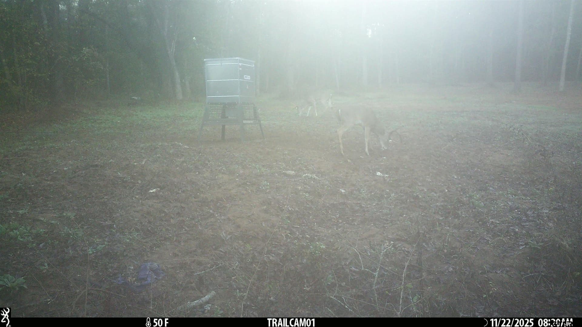 265 acres in Smith County - photo 16