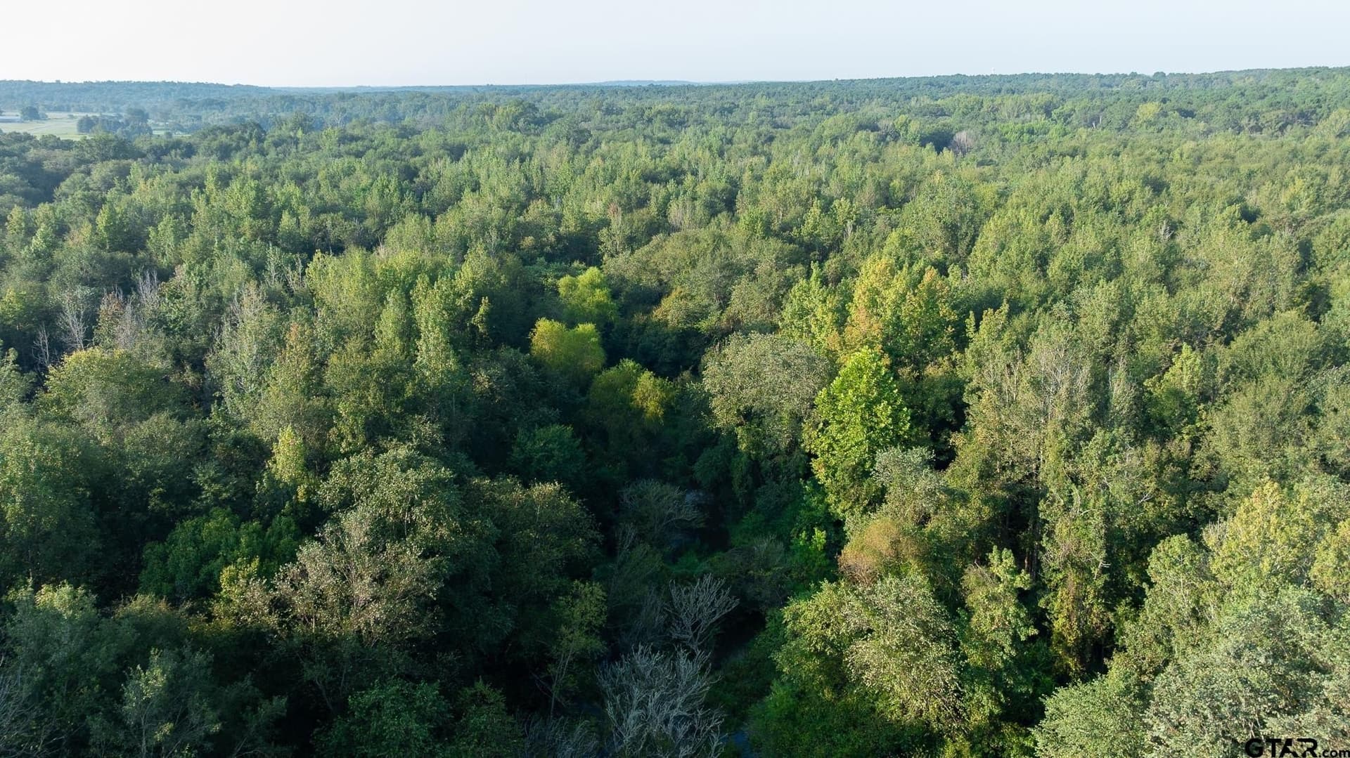 265 acres in Smith County - photo 29