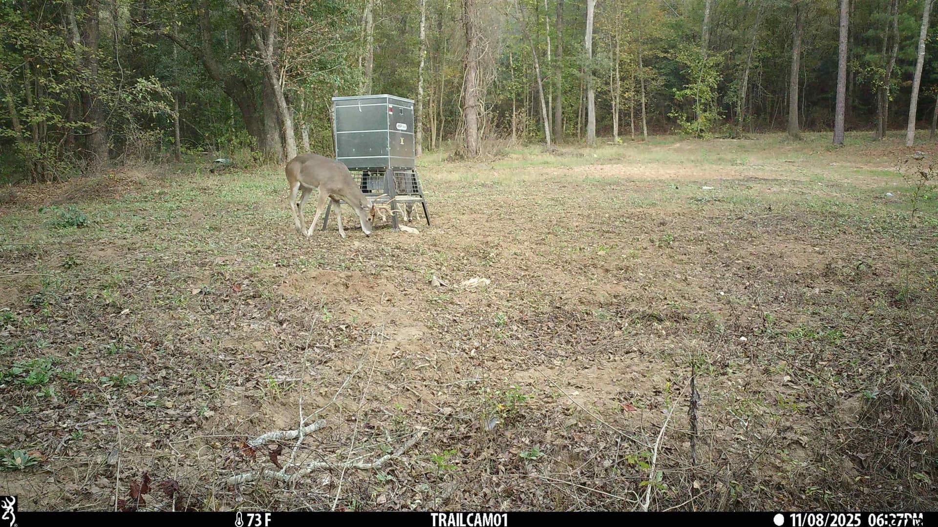 265 acres in Smith County - photo 14