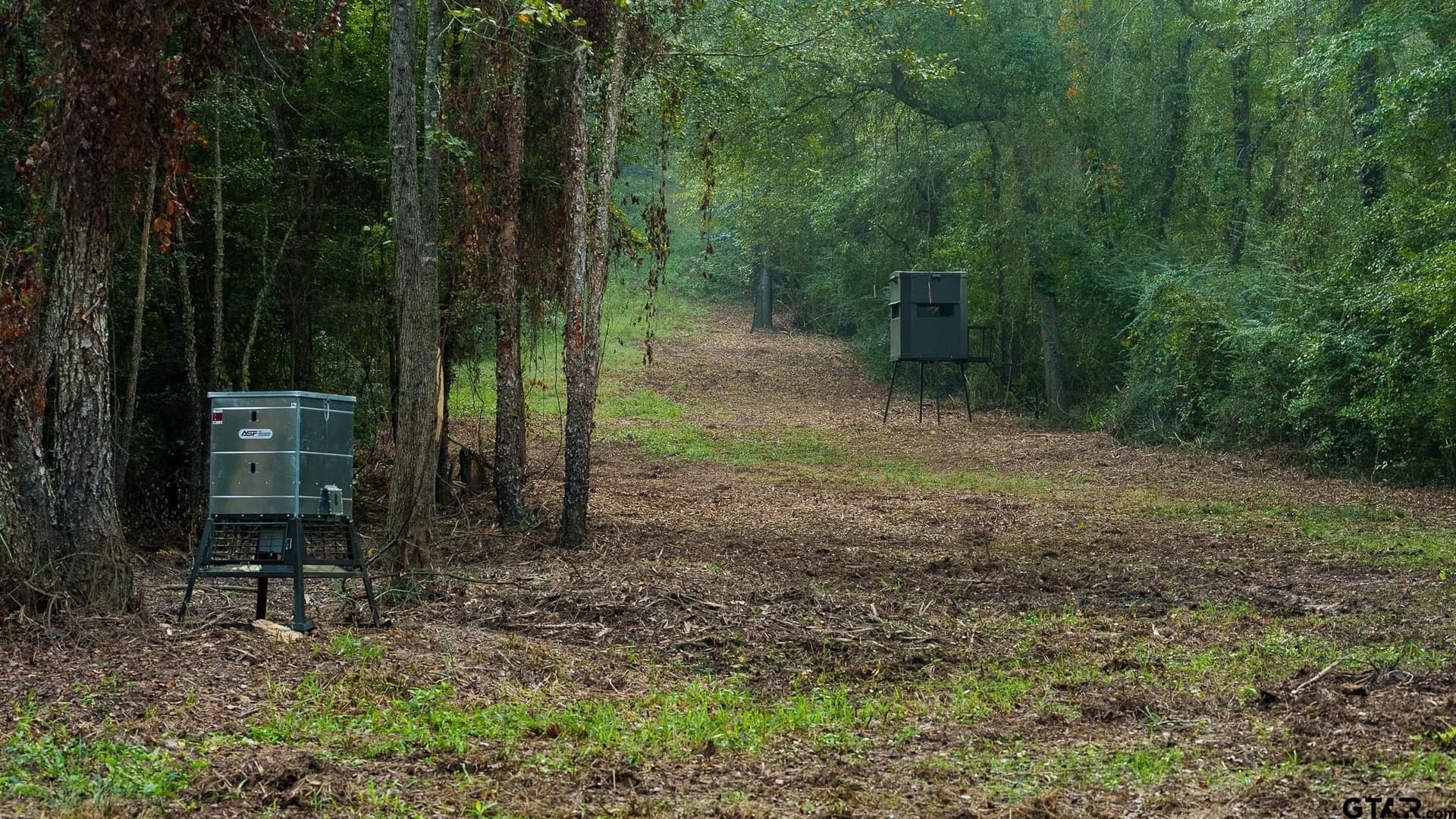265 acres in Smith County - photo 8
