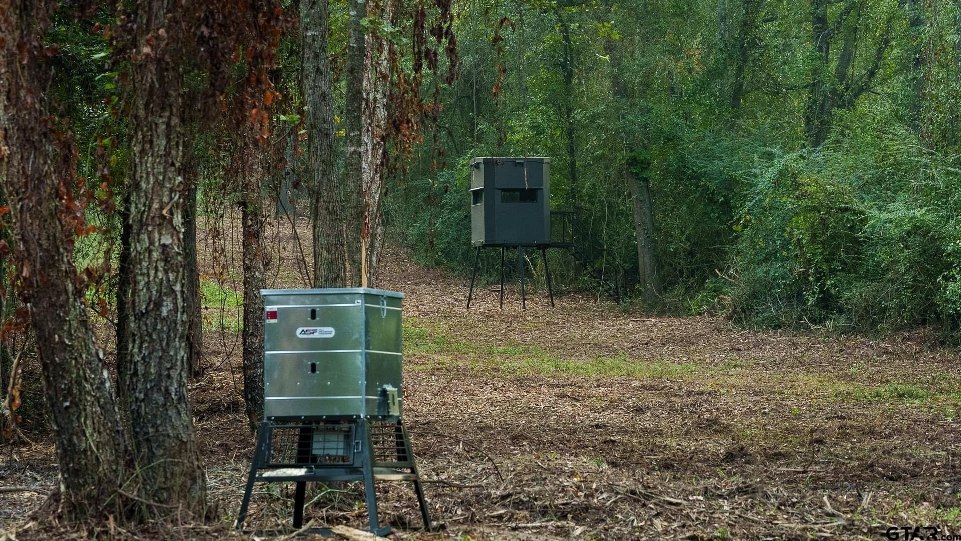 265 acres in Smith County - photo 7