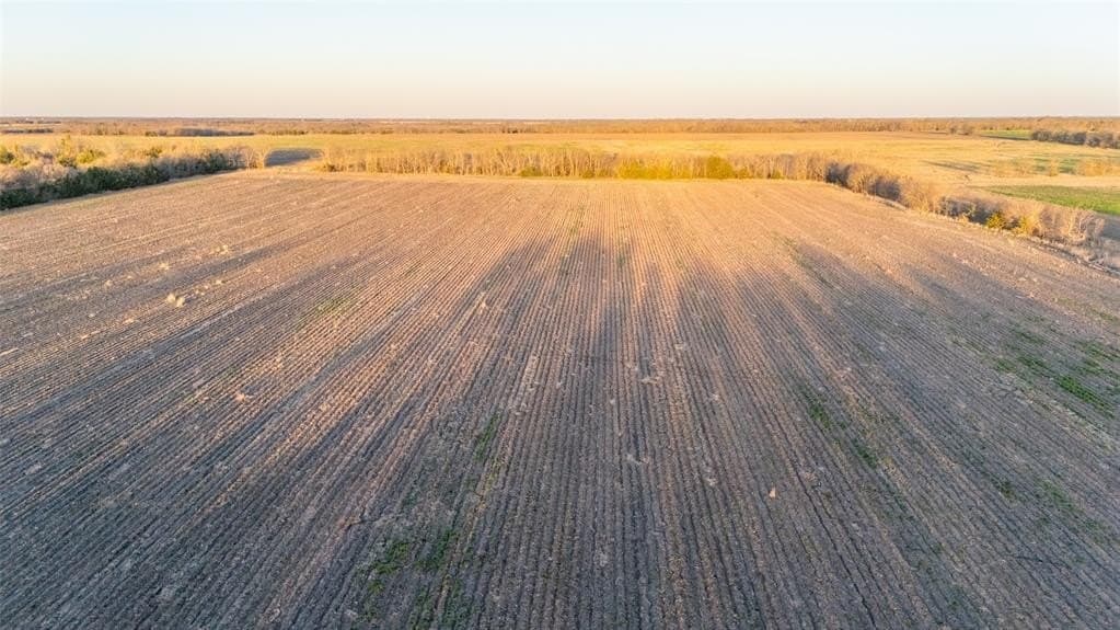 58.05 acres in Delta County - photo 6