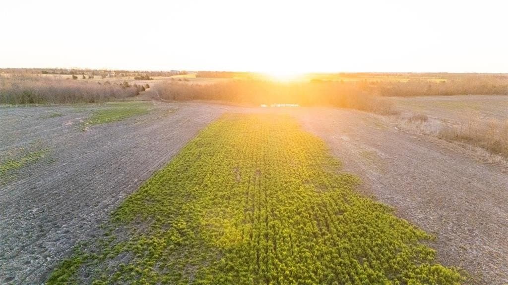 58.05 acres in Delta County - photo 4