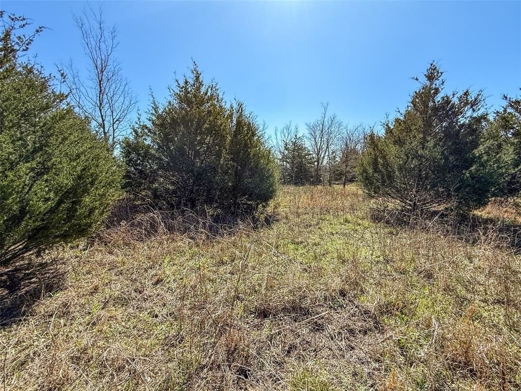 58.05 acres in Delta County - photo 10