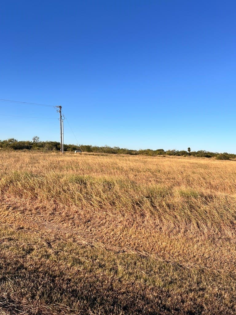 0 acres in Texas County - photo 4